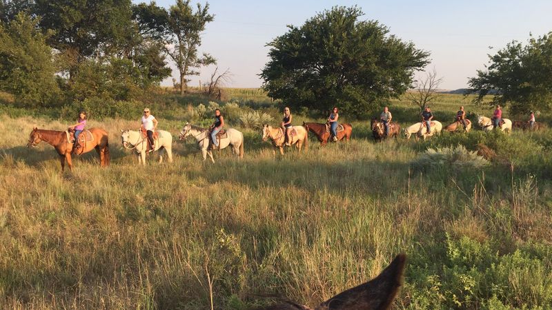 A Horse Ranch on a Dirt Road Outside Fay