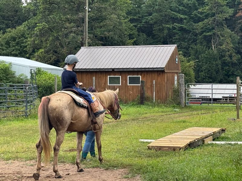 A J Stables