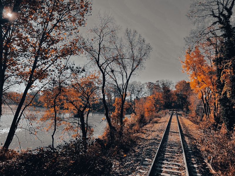 A Journey Worth Choosing Carefully A Journey Worth Choosing Carefully