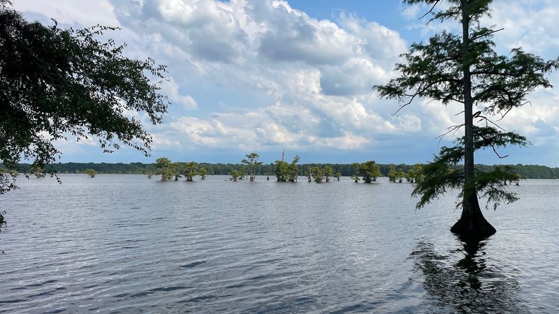 A Lake in the Far Corner of Tennessee A Lake in the Far Corner of Tennessee