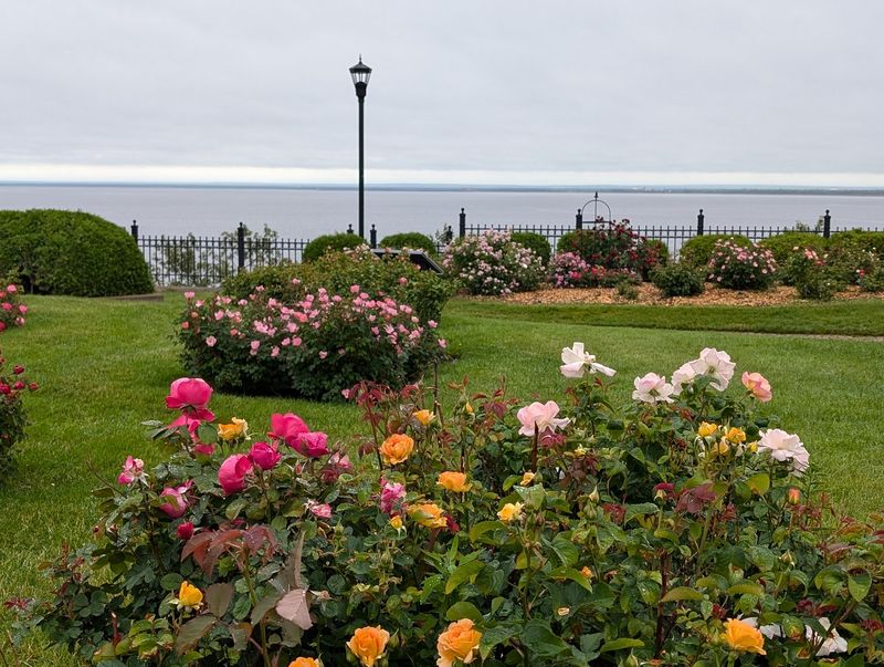 A Lakeside Green Space on London Road