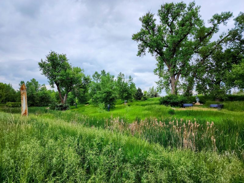 A Landscape That Looks Untamed on Purpose A Landscape That Looks Untamed on Purpose