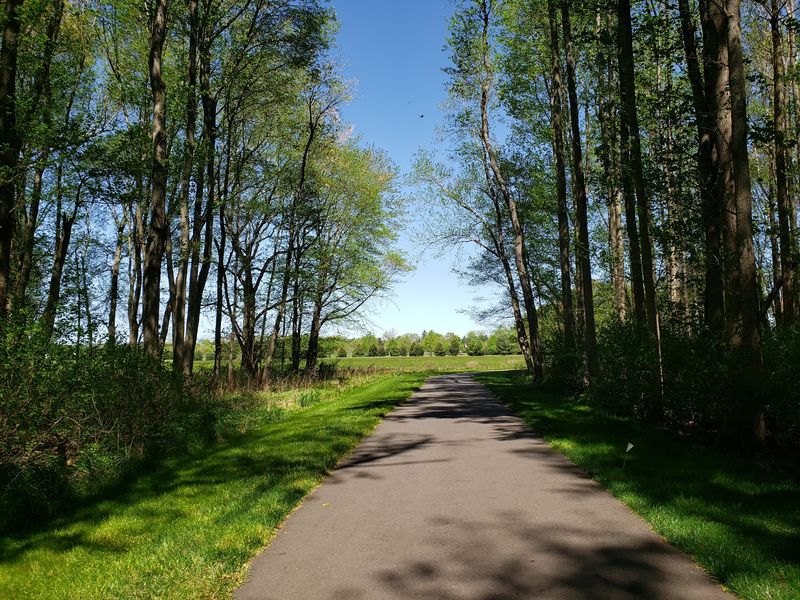 A Local Path With a Park Connection A Local Path With a Park Connection