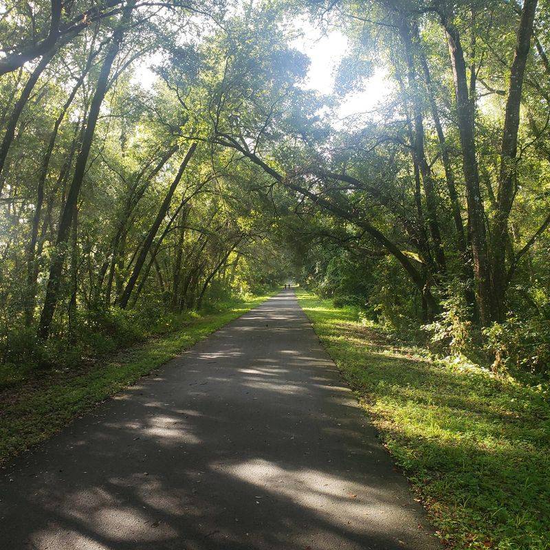 A Long Green Ribbon in West Central Florida A Long Green Ribbon in West Central Florida