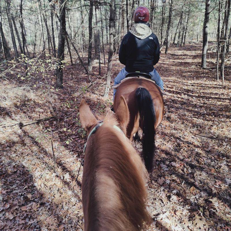 A Low Key Saddle Up Worth Sharing