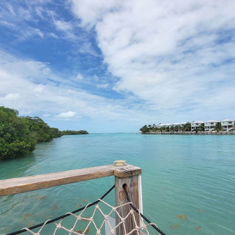 A Mangrove-Wrapped Aquarium in the Middle Keys