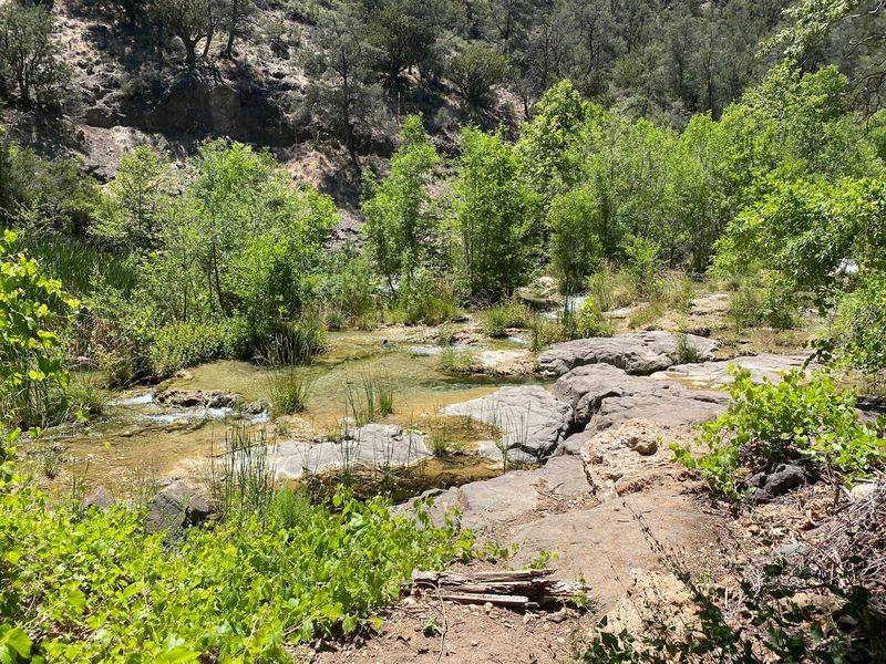 A Mile of Creekside Trail