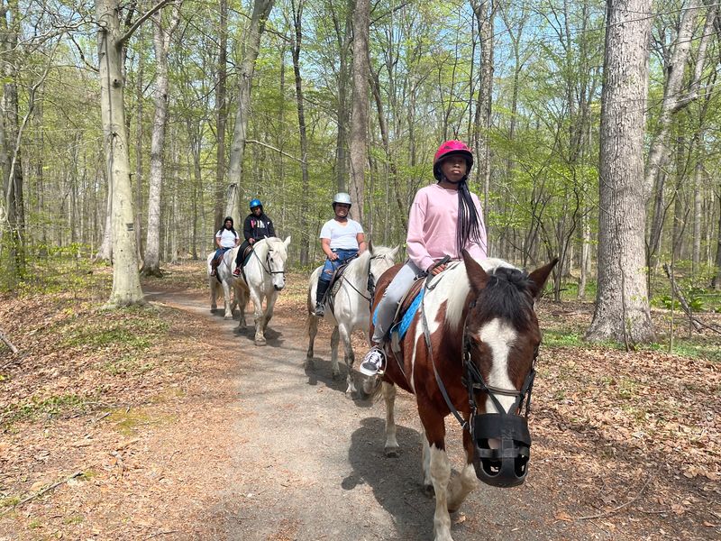 A Morristown Riding School With Trail Access A Morristown Riding School With Trail Access