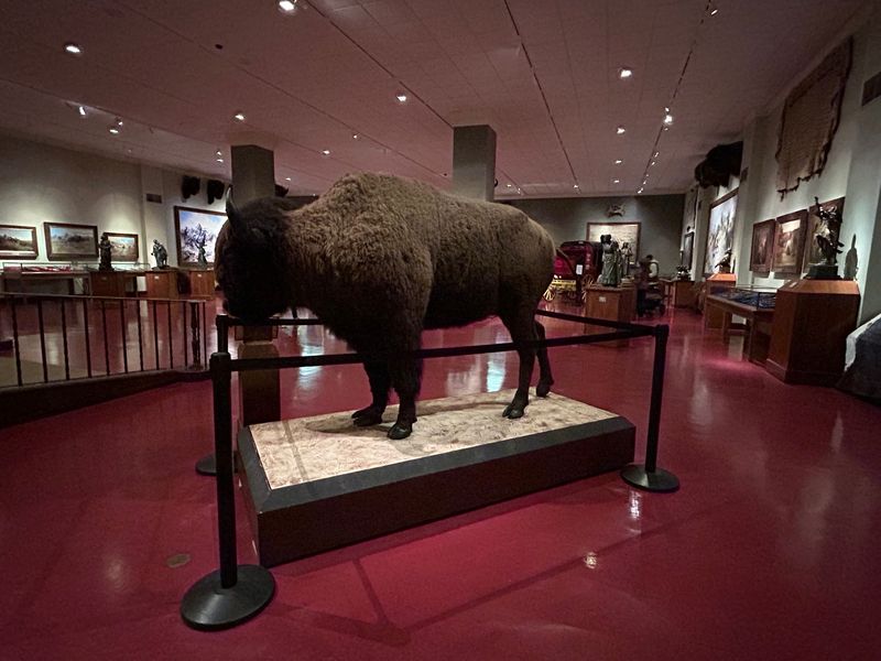 A Museum Far Bigger Than Expected