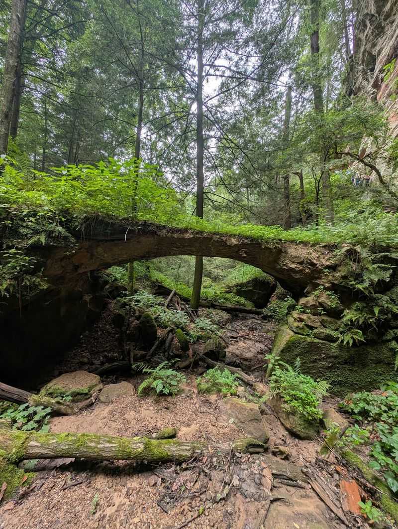 A Natural Bridge Worth A Look