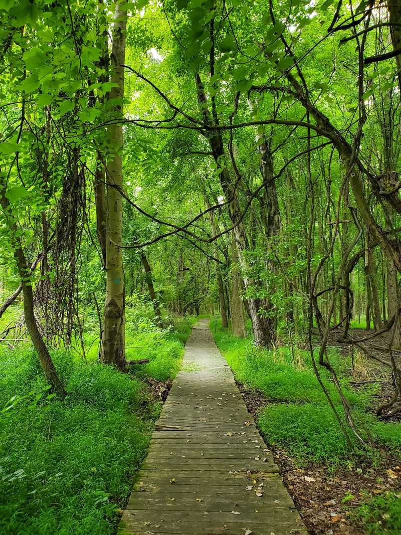 A Nature Preserve Close to Home A Nature Preserve Close to Home