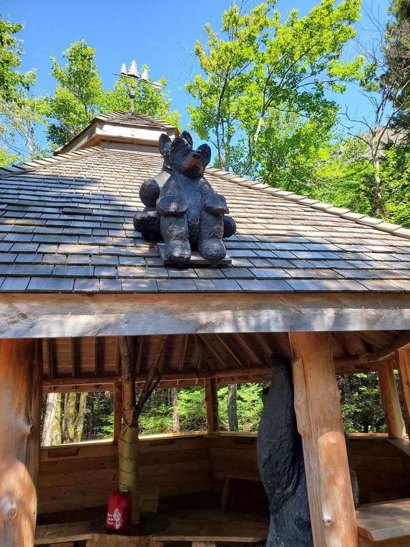 A Nature Trail Packed With Surprises