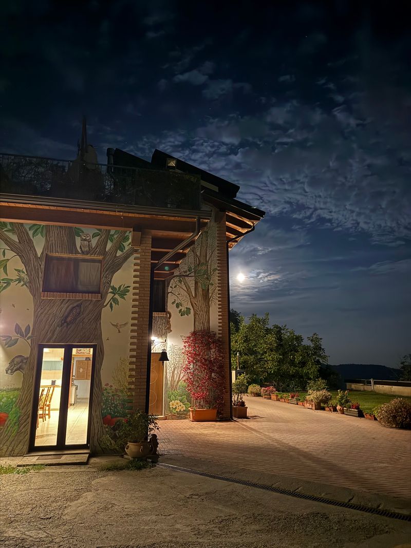 A Night Above the Temples