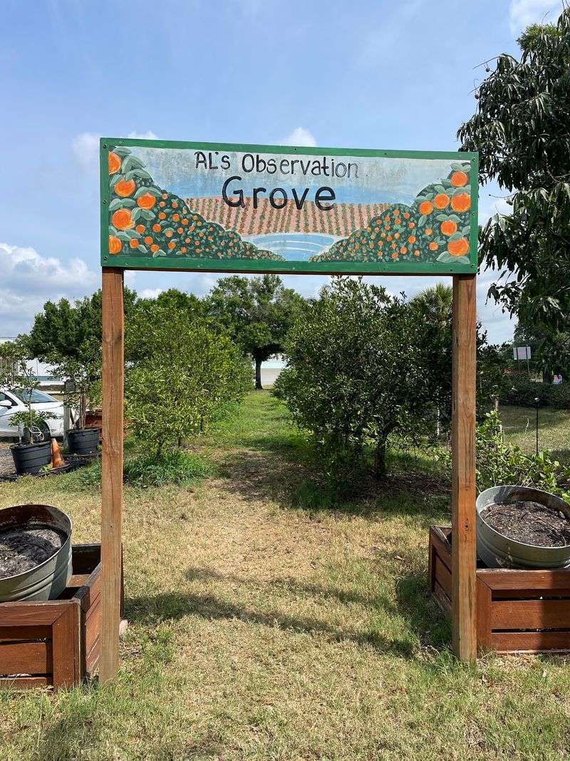 A Packing Line, A Little Grove, And That Old Florida Mood