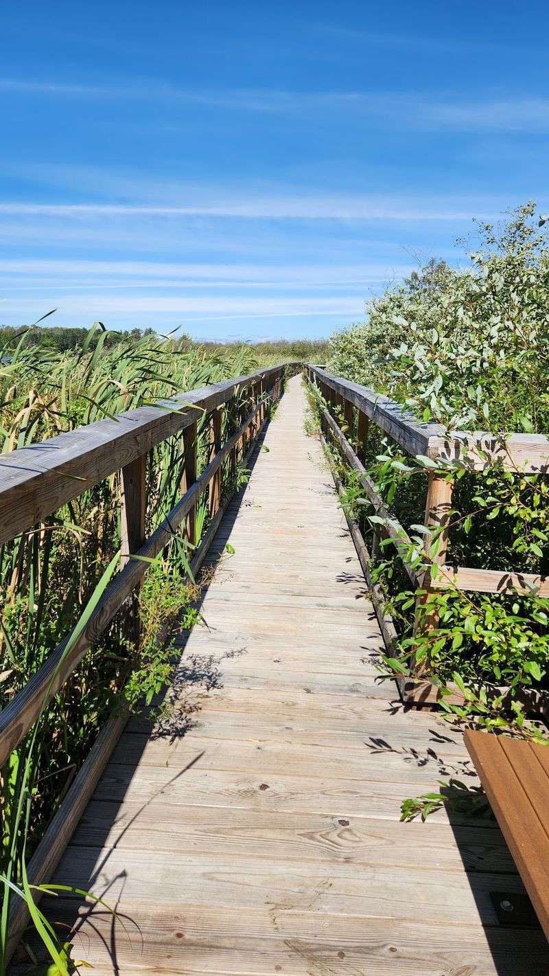 A Peaceful Fit for Families and Road-Weary Travelers A Peaceful Fit for Families and Road-Weary Travelers