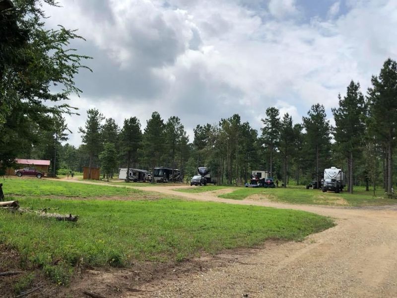 A Pine Forest Basecamp Right Off Highway 270