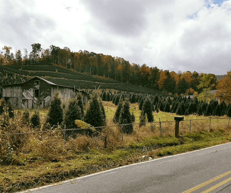 A Pocket-Sized Town in Avery County