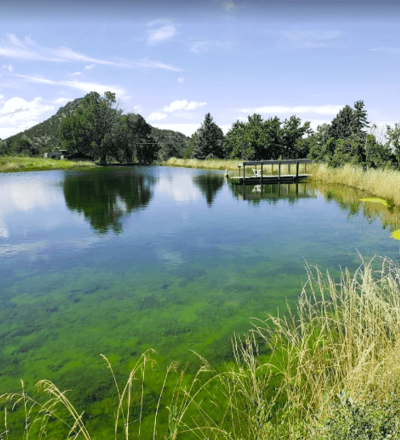 A Pond With a View of White Sands