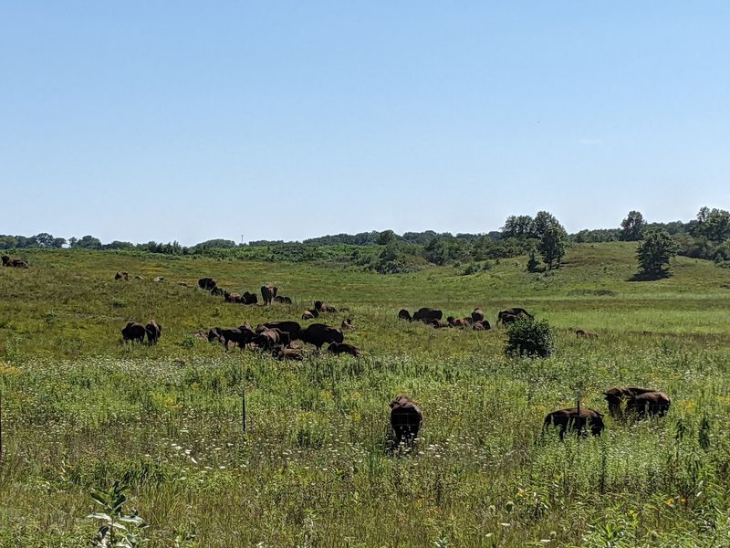 A Prairie Hideaway in Ogle County Farm Country A Prairie Hideaway in Ogle County Farm Country