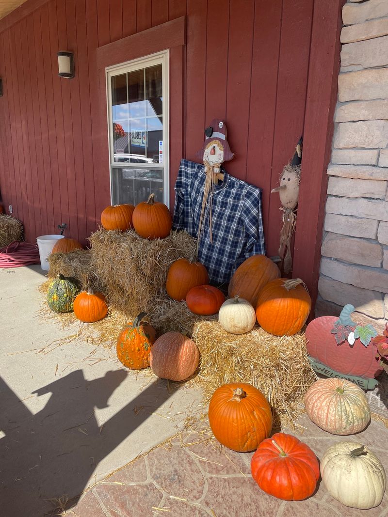 A Pumpkin And Fall Color Stop A Pumpkin And Fall Color Stop