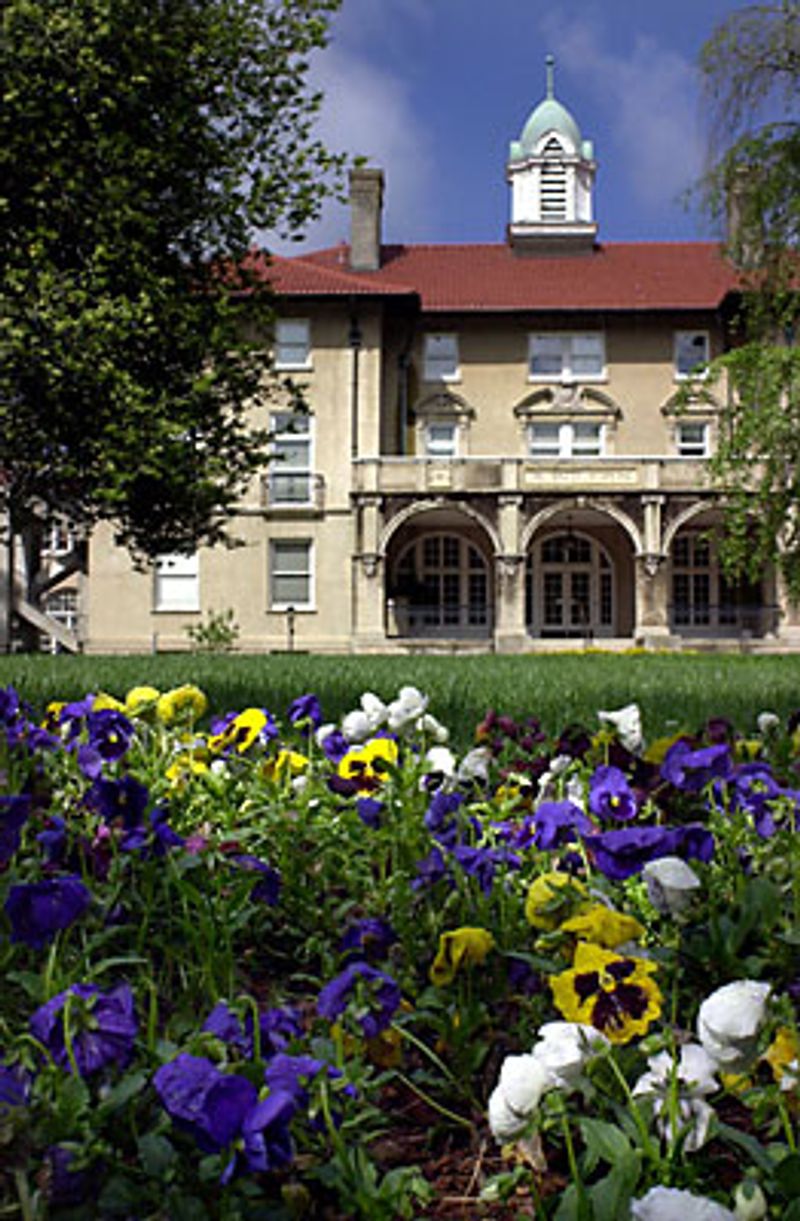 A Quiet Campus Worth the Buzz