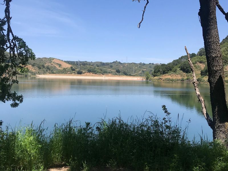 A Quiet Lake in the Hills Above Cupertino A Quiet Lake in the Hills Above Cupertino