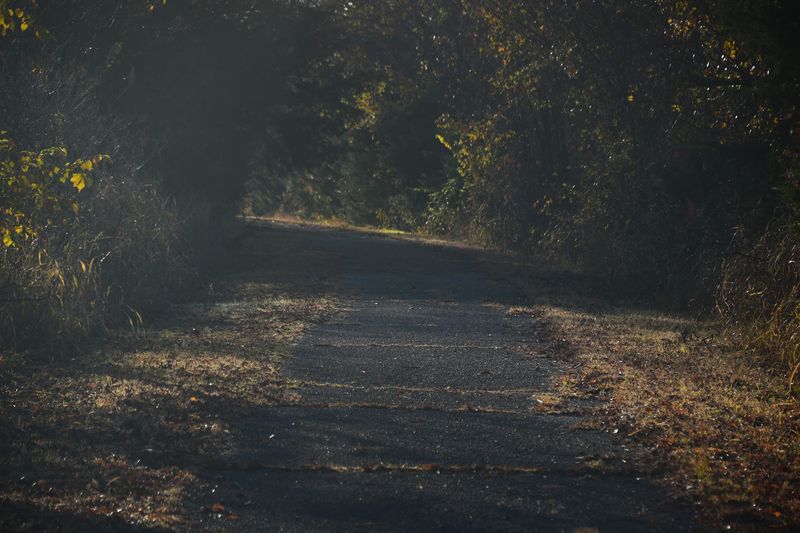 A Quiet Path on the Edge of Cleveland