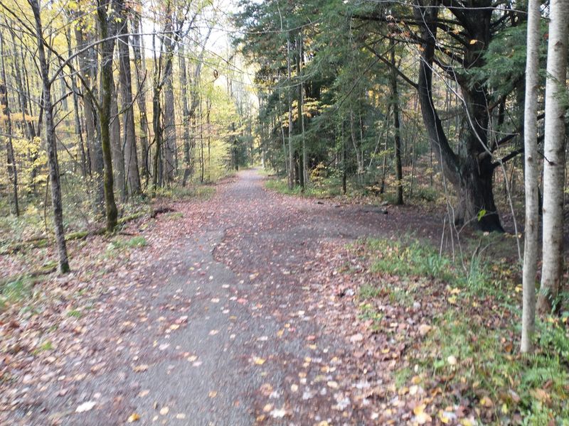 A Quiet Trailhead in Elkmont A Quiet Trailhead in Elkmont