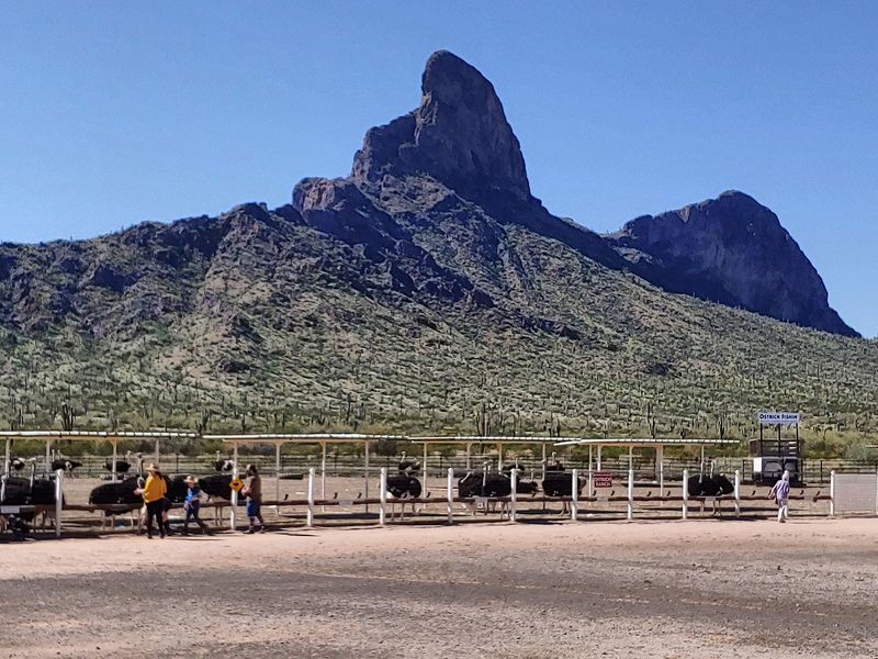 A Ranch at the Foot of Picacho Peak