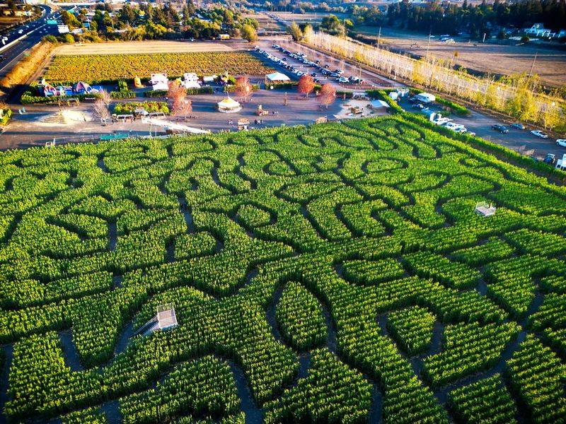 A Real Farm Off Stony Point Road