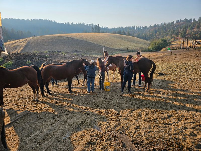 A Rescue Ranch on Rothfork Road A Rescue Ranch on Rothfork Road