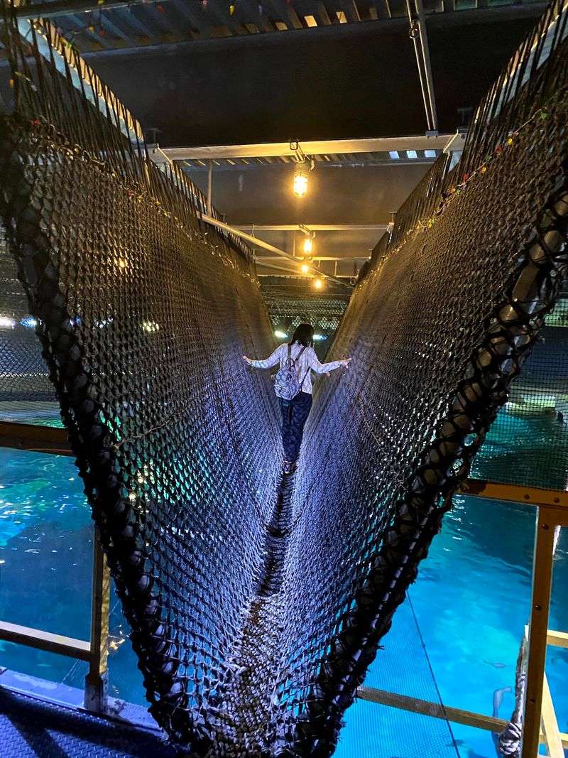 A Riverfront Aquarium Hiding a Hippo and a Shark Bridge