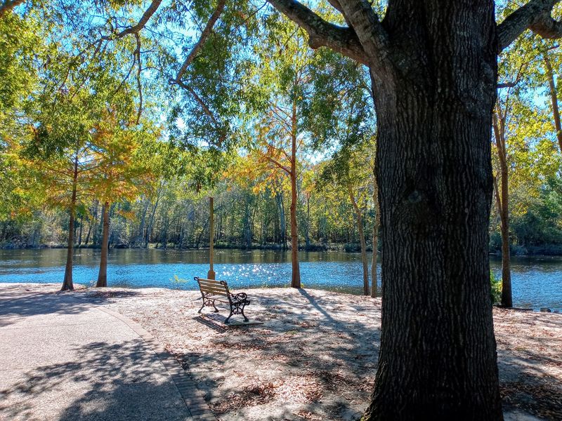 A Riverside Green Space in Downtown Conway