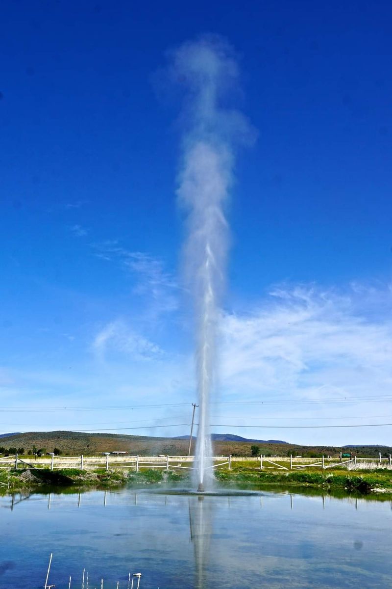 A Roadside Geyser Near Lakeview A Roadside Geyser Near Lakeview