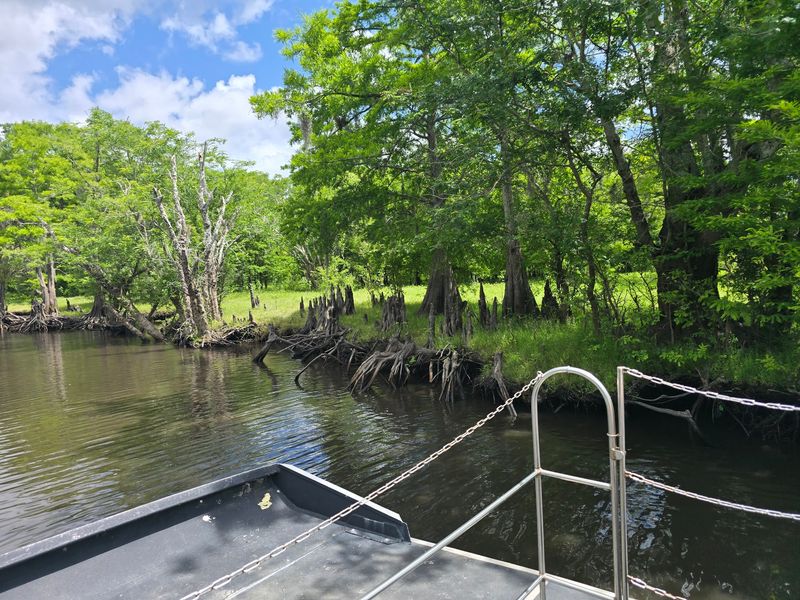 A Roadside Launch Point Into the St. Johns River Wilds A Roadside Launch Point Into the St. Johns River Wilds