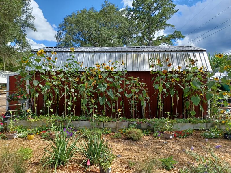 A Roomy Farmhouse for Bigger Crews A Roomy Farmhouse for Bigger Crews