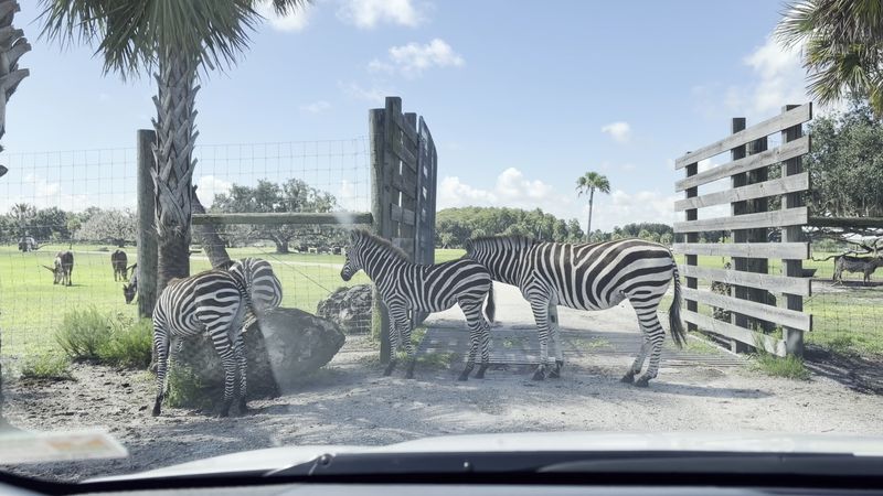 A Safari Park Where Central Florida Gets Wonderfully Wild