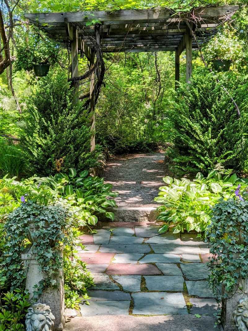 A Secret Garden Hiding on Salisbury Road A Secret Garden Hiding on Salisbury Road