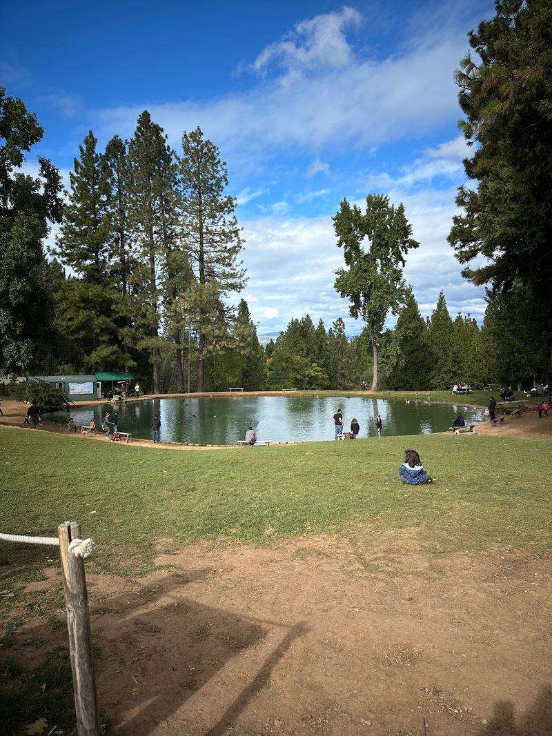 A Shady Pond for Fishing and Picnics A Shady Pond for Fishing and Picnics