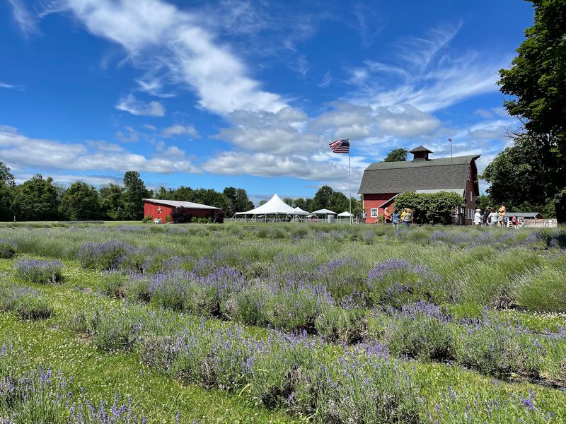 A Small Farm With Two Specialties