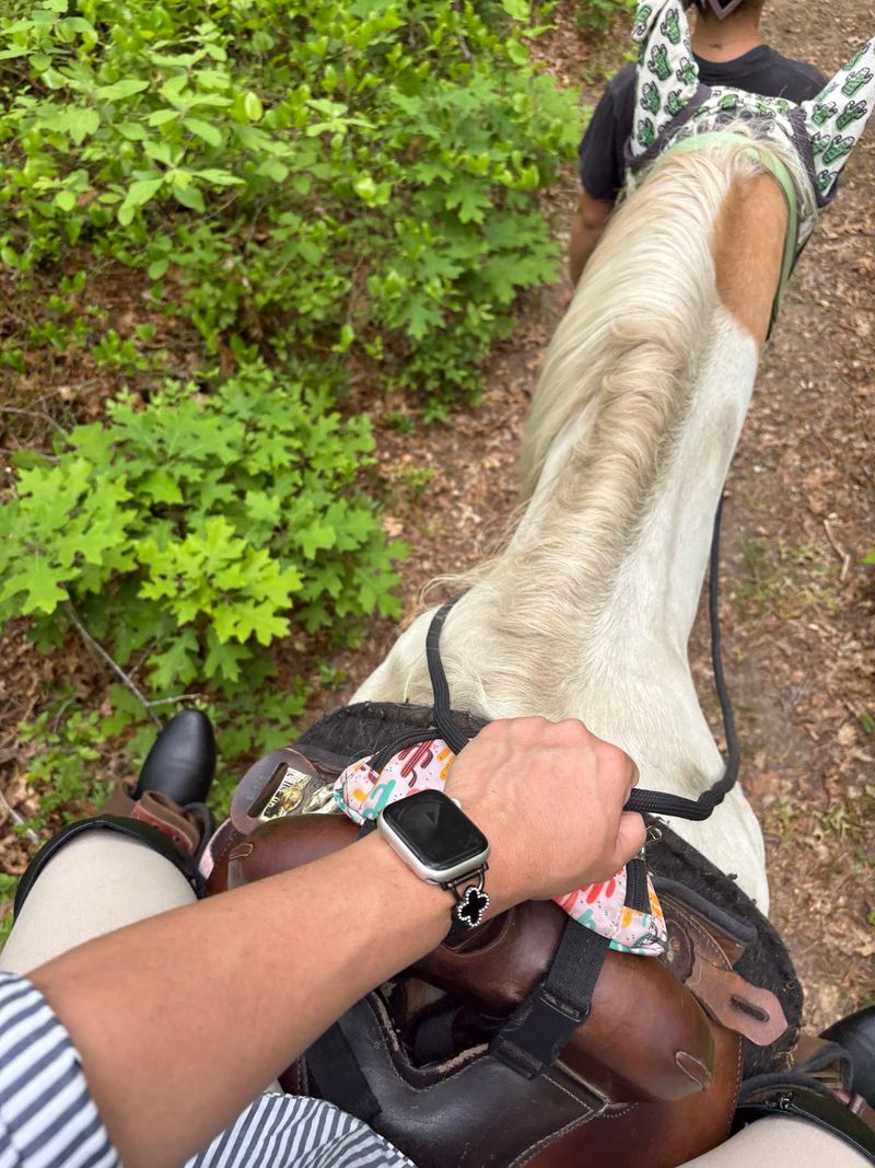 A Soft Verdict From the Saddle A Soft Verdict From the Saddle