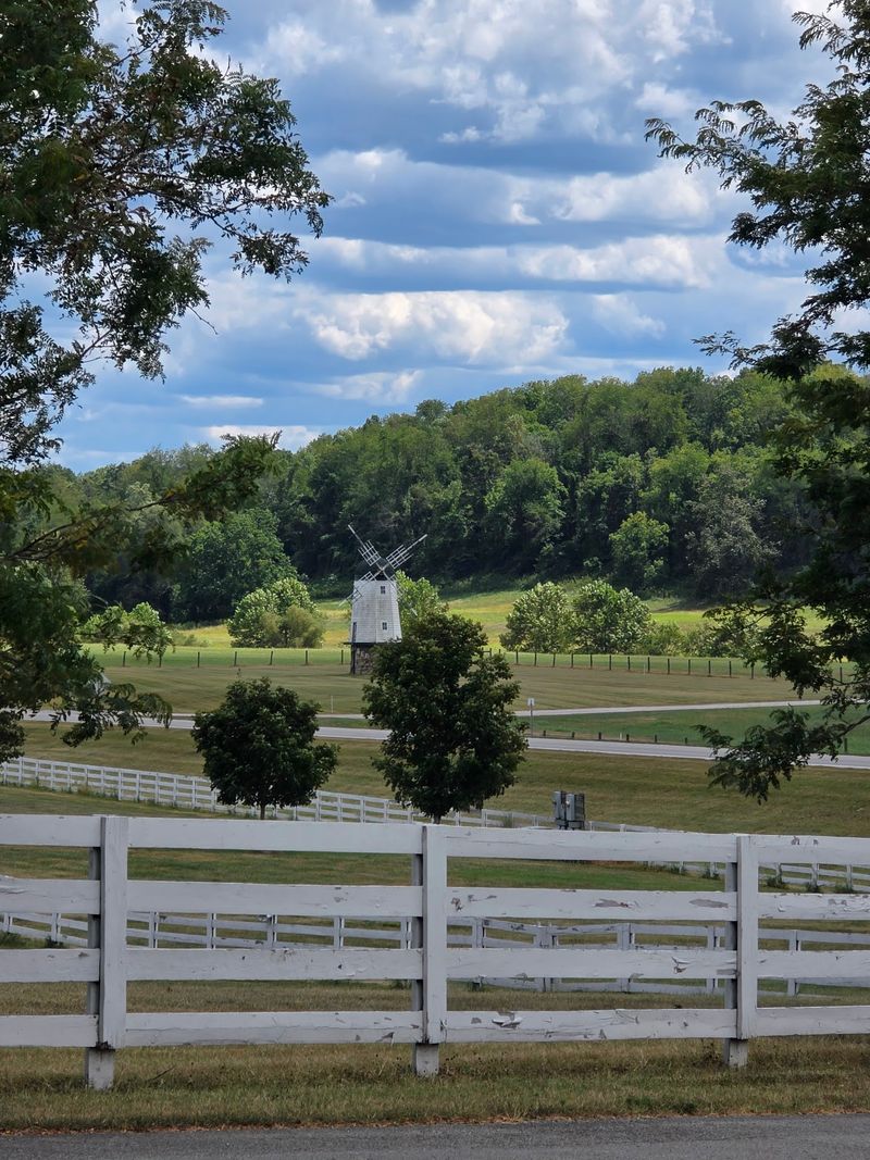 A Soft Verdict On The Farm Where It Started
