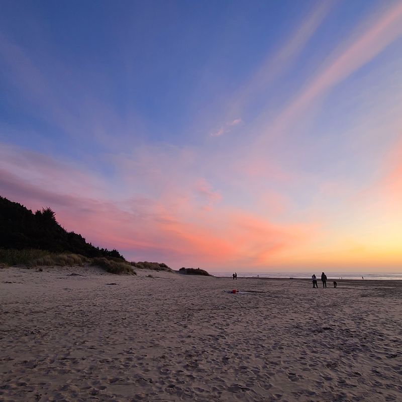 A Soft Verdict for Curious Beachcombers