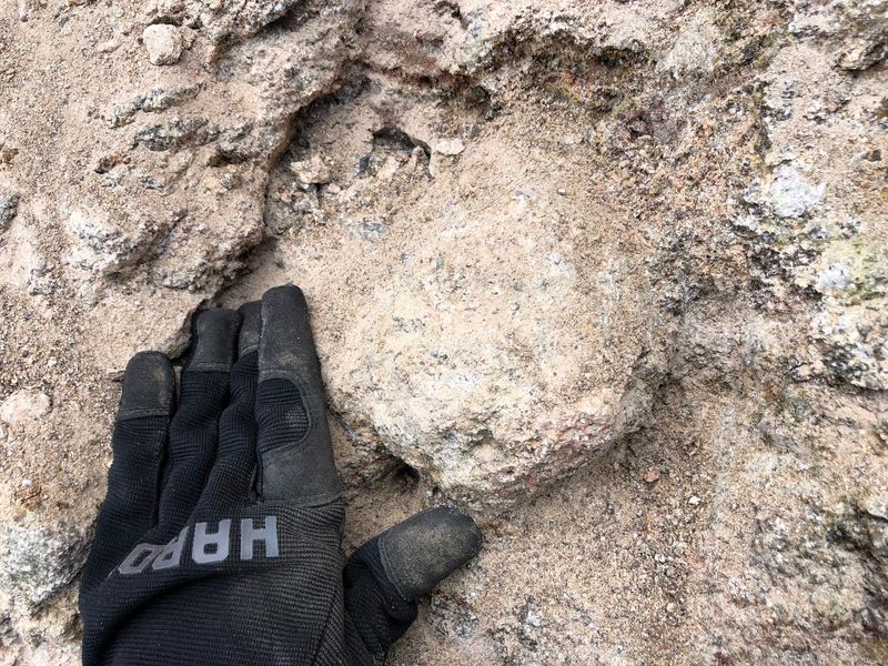 A Soft Verdict for Rock Hunters