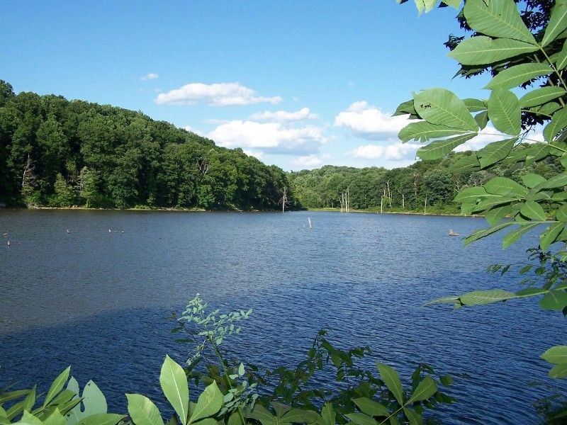 A Soft Verdict for a Big, Easygoing Park