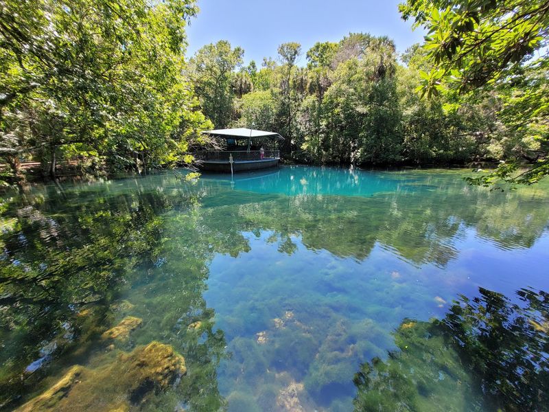 A Spring-Fed Sanctuary on Florida's Nature Coast A Spring-Fed Sanctuary on Florida's Nature Coast