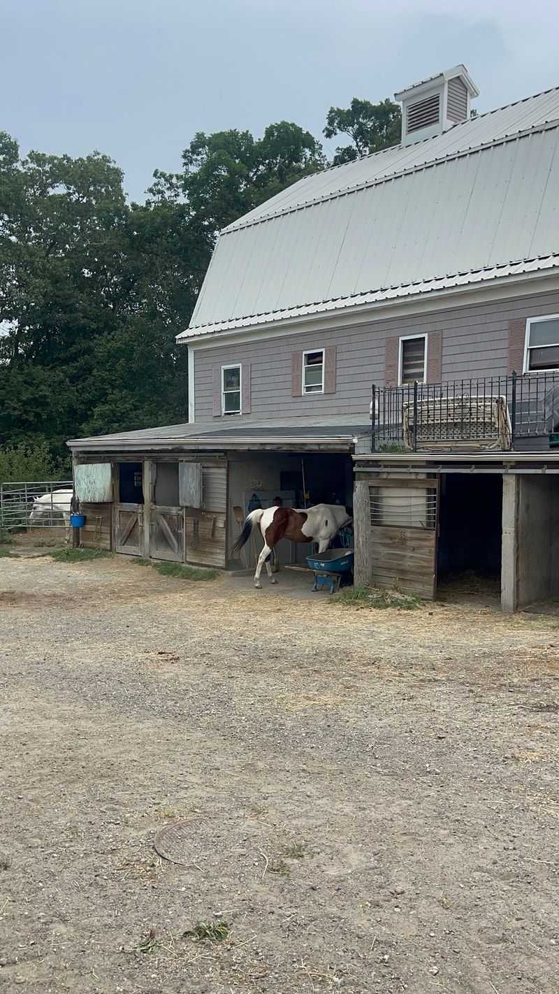 A Stable Hiding Behind High Street