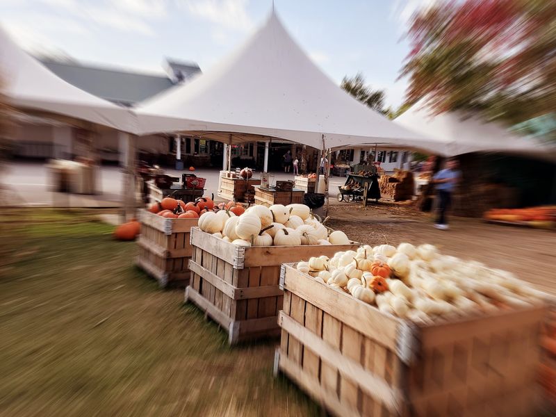 A Sweet Verdict for Anyone Craving a Fall Ritual
