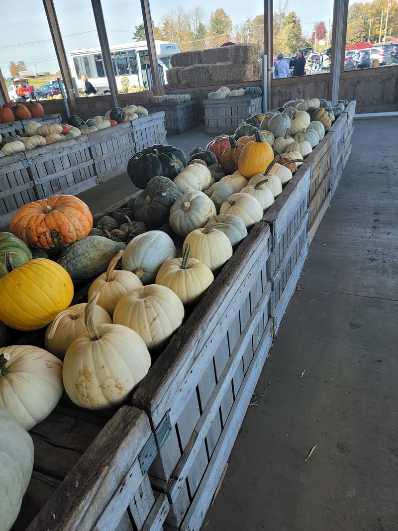 A Sweet Verdict on a Fall Favorite