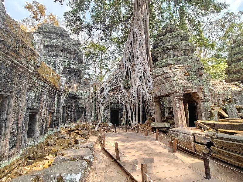 A Temple Left Wild on Purpose